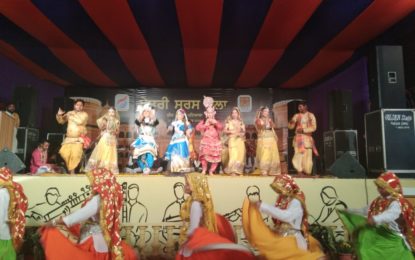 उत्तर क्षेत्र सांस्कृतिक केंद्र, पटियाला के कलाकारों द्वारा सारास मेला 2018 की दिन 10 वीं (02/03/2018) के कलाकारों द्वारा 21 फरवरी से 4 मार्च 2018 तक शीश महल में आयोजित किया जा रहा है।