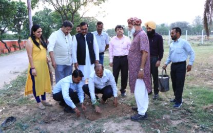5 जून, 2018 को चंडीगढ़ में कलग्राम में उत्तर क्षेत्र सांस्कृतिक केंद्र, पटियाला द्वारा विश्व पर्यावरण दिवस के अवसर पर वृक्षारोपण।
